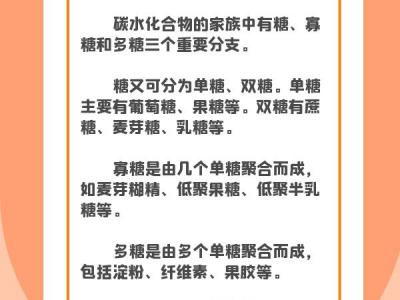 減肥真的需要“0碳水”嗎？這樣科學“食碳”保持身體健康