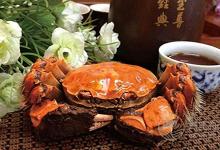 九月吃什么螃蟹好 六種螃蟹做法最肥美