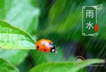 2019年雨水巧遇元宵節，二十四節氣之雨水養生篇