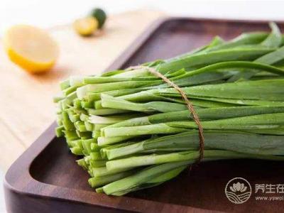 秋季時節可食用韭菜養生