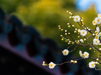 立春后天氣還會不會冷？立春后這樣養生比較好