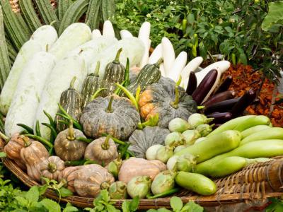 立秋之后哪些蔬菜過季，你購物單上的蔬果該更新了
